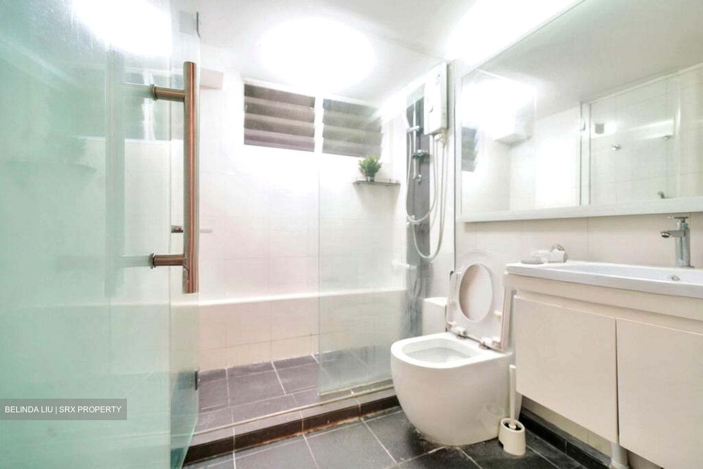 Lucky Plaza (D9), Apartment #502239241